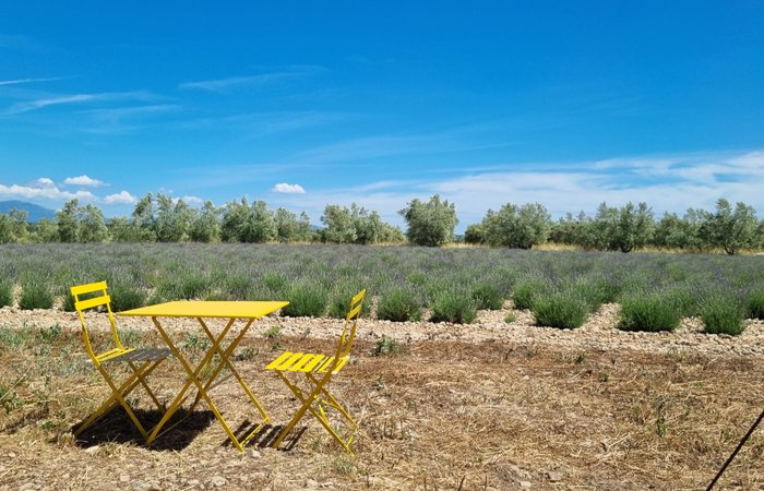 La bulle Ico : Dôme en Provence-Alpes-Côte d'Azur – photo 20 sur 20