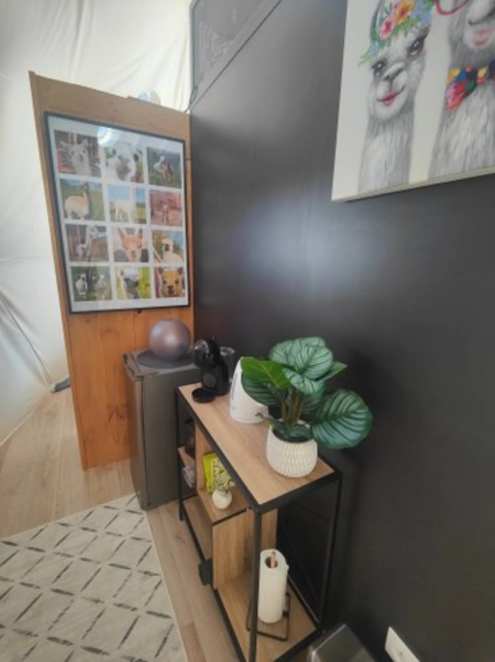 Dôme Alpag'House : Dôme en Aquitaine (Nouvelle Aquitaine) - photo 8 sur 21