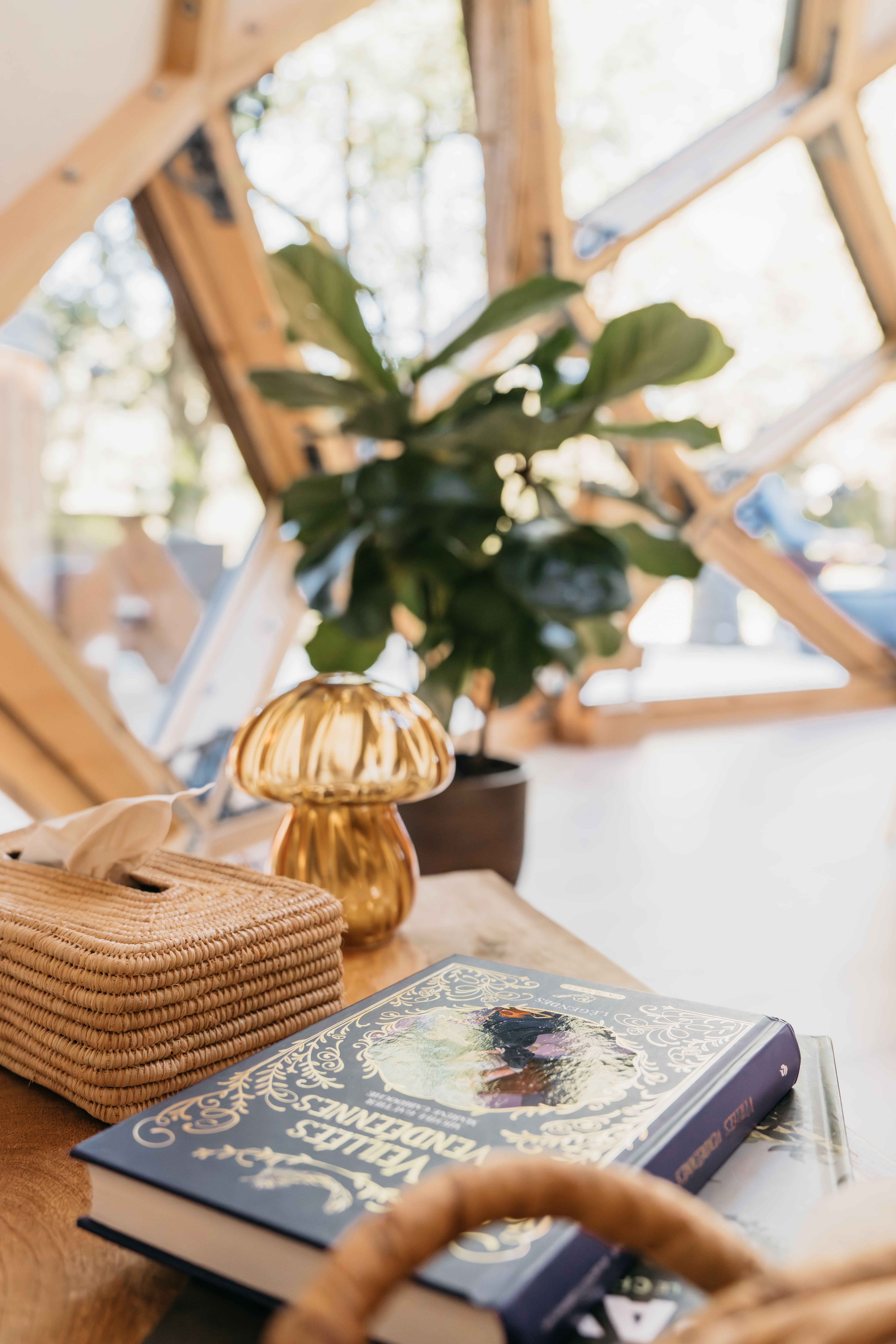 Le zome : Nuit sous les étoiles & spa privatif – photo 13 sur 18