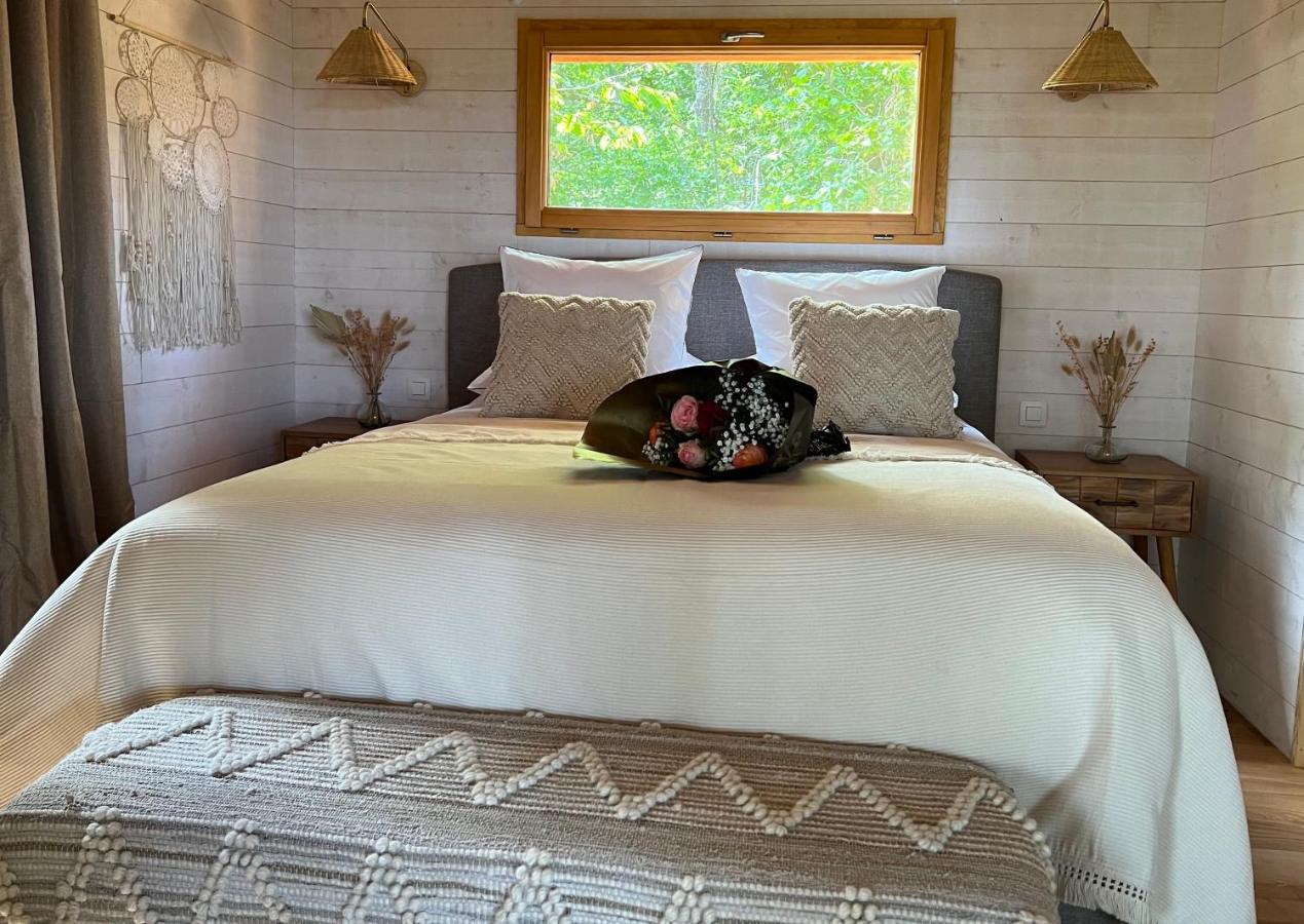 Dôme à Bulles – cadre naturel Puy-de-Dôme