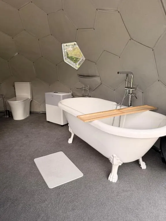 Dôme et Spa des Cabanes de la Saye - bain à remous et climatisation (Cavignac, Gironde) - cadre naturel Gironde