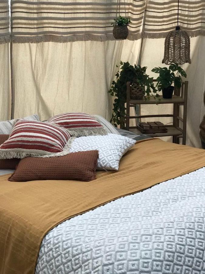 dôme insolite Seine-Maritime – photo 5