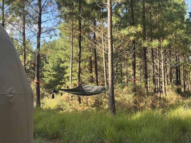 Dôme d'Amagui au cœur de la forêt Landaise : Dôme en Aquitaine (Nouvelle Aquitaine) – photo 11 sur 17