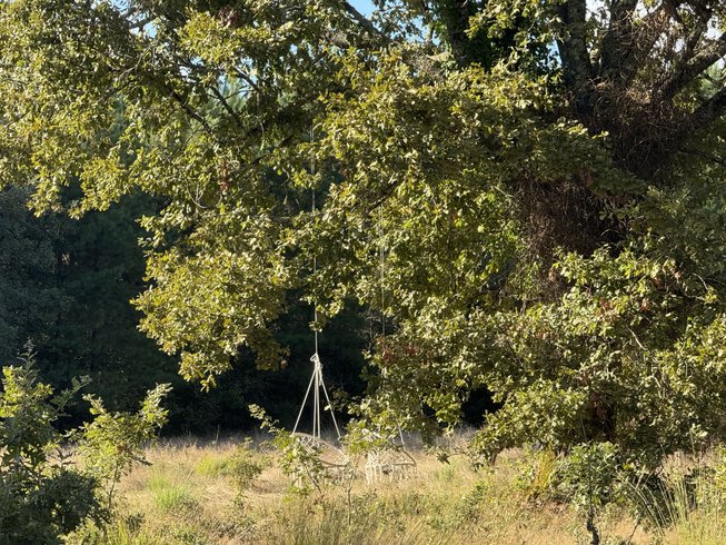 Dôme d'Amagui au cœur de la forêt Landaise : Dôme en Aquitaine (Nouvelle Aquitaine) – photo 13 sur 17