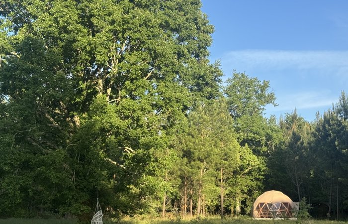 Dôme d'Amagui au cœur de la forêt Landaise : Dôme en Aquitaine (Nouvelle Aquitaine) – photo 17 sur 17