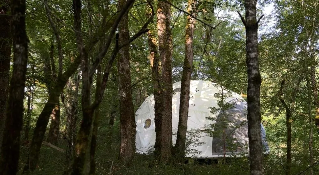 Dôme en forêt - Dôme géodésique avec piscine dans le Périgord vert (Saint-Just, Dordogne) - vue extérieure