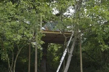 La Noisille - Dôme transparent perché à 3,5 m au Thoureil (Gennes-Val-de-Loire, Maine-et-Loire) - photo 7 sur 14