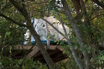 La Noisille - Dôme transparent perché à 3,5 m au Thoureil (Gennes-Val-de-Loire, Maine-et-Loire) - photo 8 sur 14