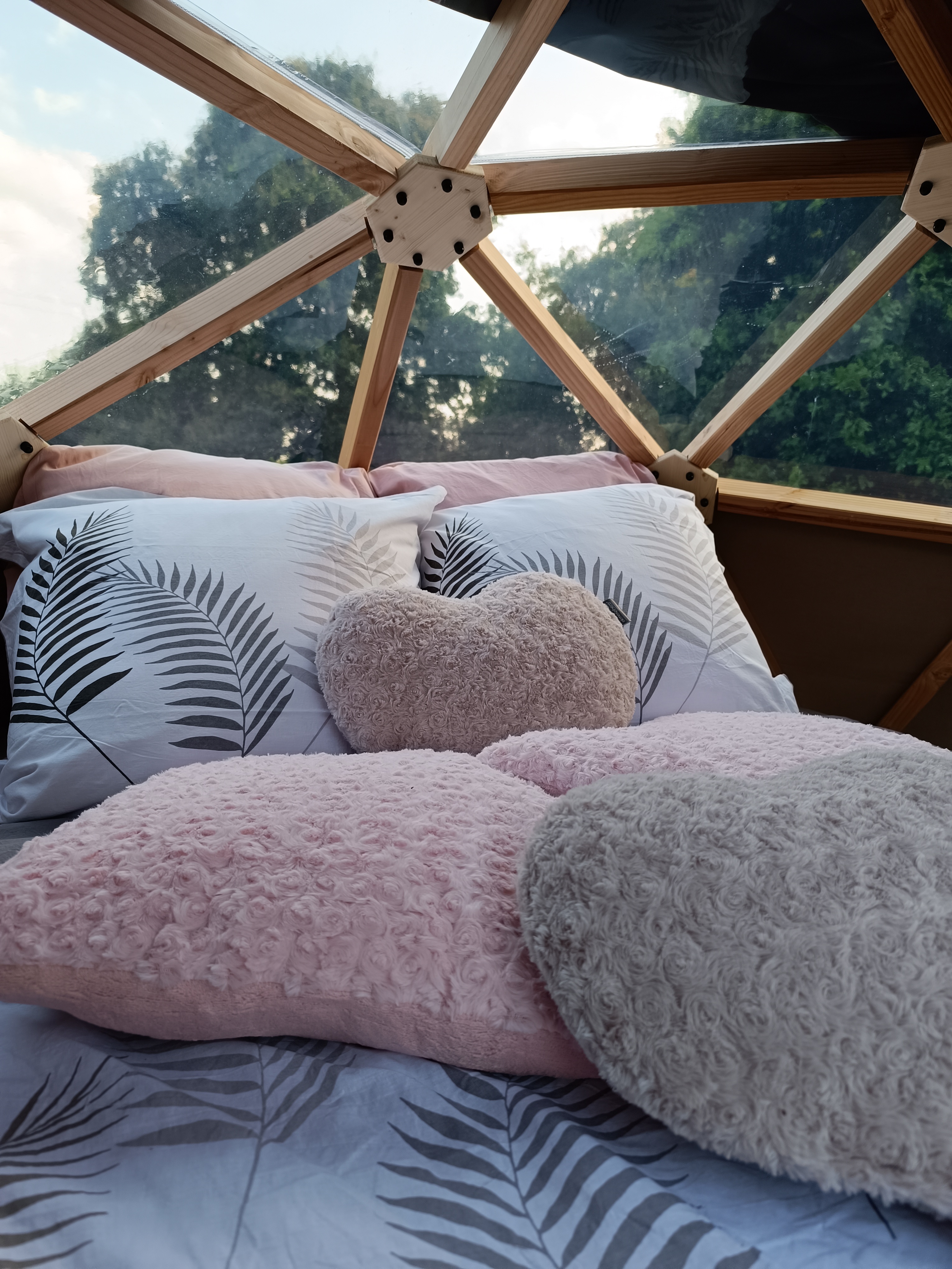 bulle insolite Côtes-d'Armor – photo 5