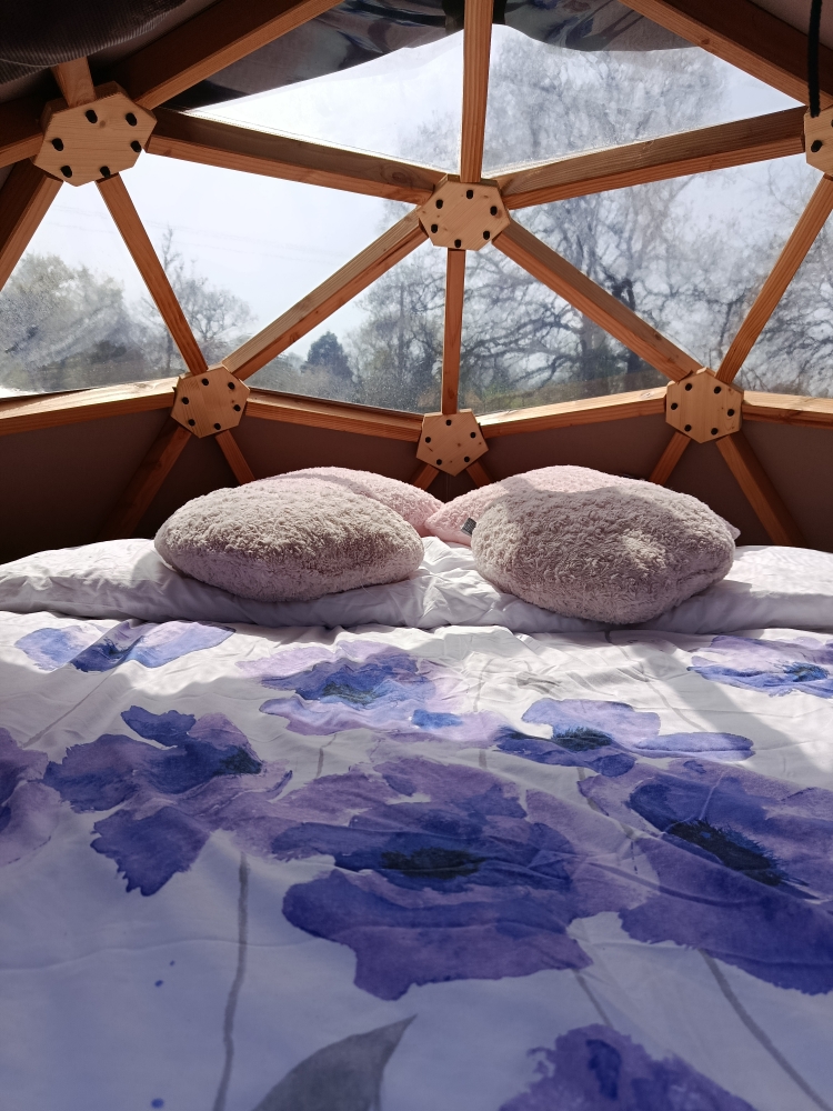 Dôme Étoilé – photo 11 sur 12