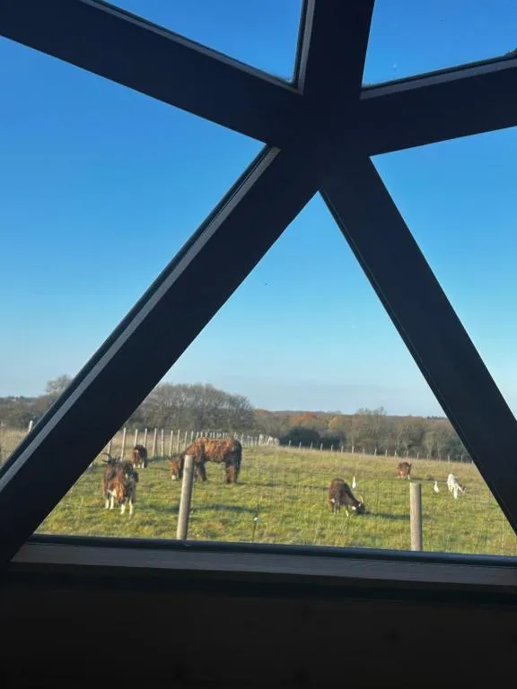 Dôme géodésique de Brie - Dôme avec jardin pour deux près d'Angoulême (Brie, Charente) - photo 10 sur 10