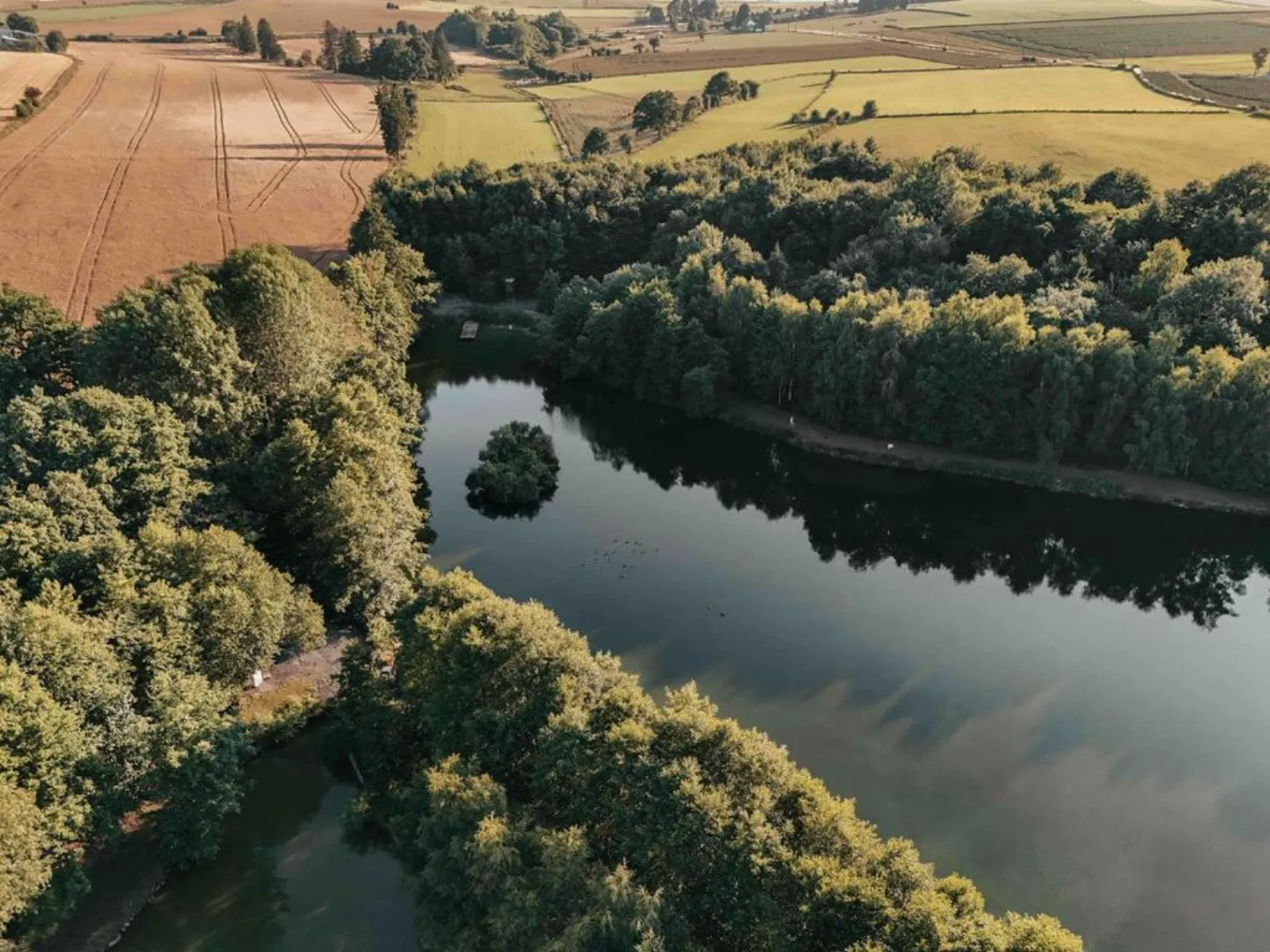 Dôme géodésique exceptionnel en pleine nature - bulle à Flamizoulle, Belgique