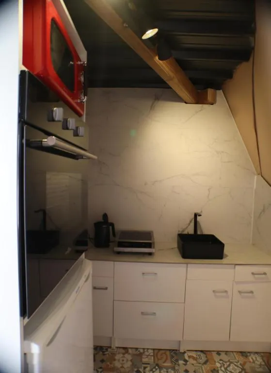 Dôme Reinette - dôme géodésique et kitchenette dans les Vosges (Châtenois, Vosges) - photo 7 sur 12