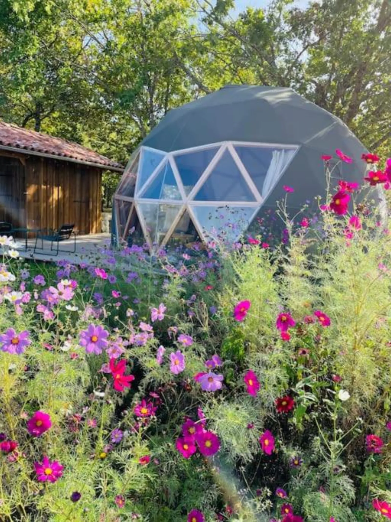 Dôme insolite Cèdre jacuzzi et petits déjeuners inclus - photo 10 sur 42