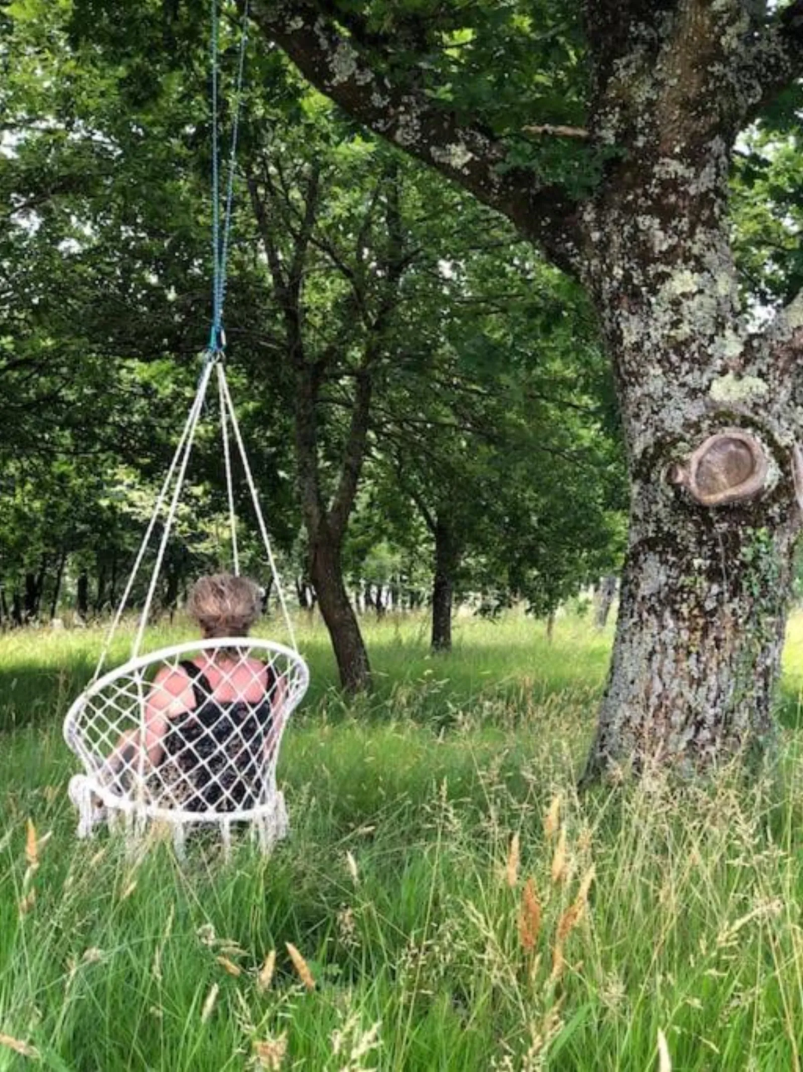 Dôme insolite Cèdre jacuzzi et petits déjeuners inclus - photo 24 sur 42