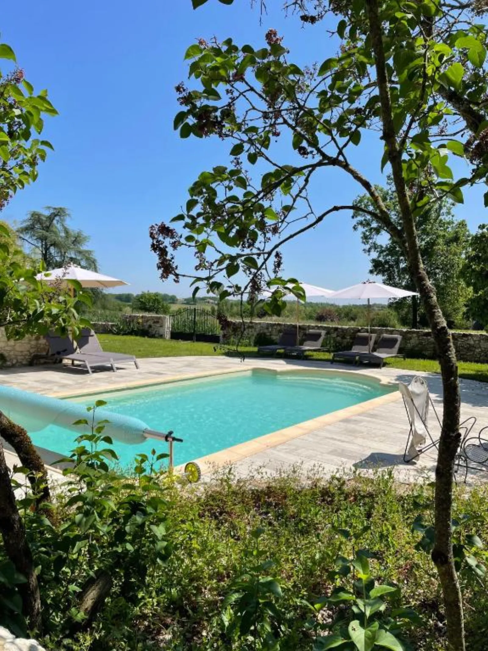Dôme insolite Cèdre jacuzzi et petits déjeuners inclus - photo 37 sur 42