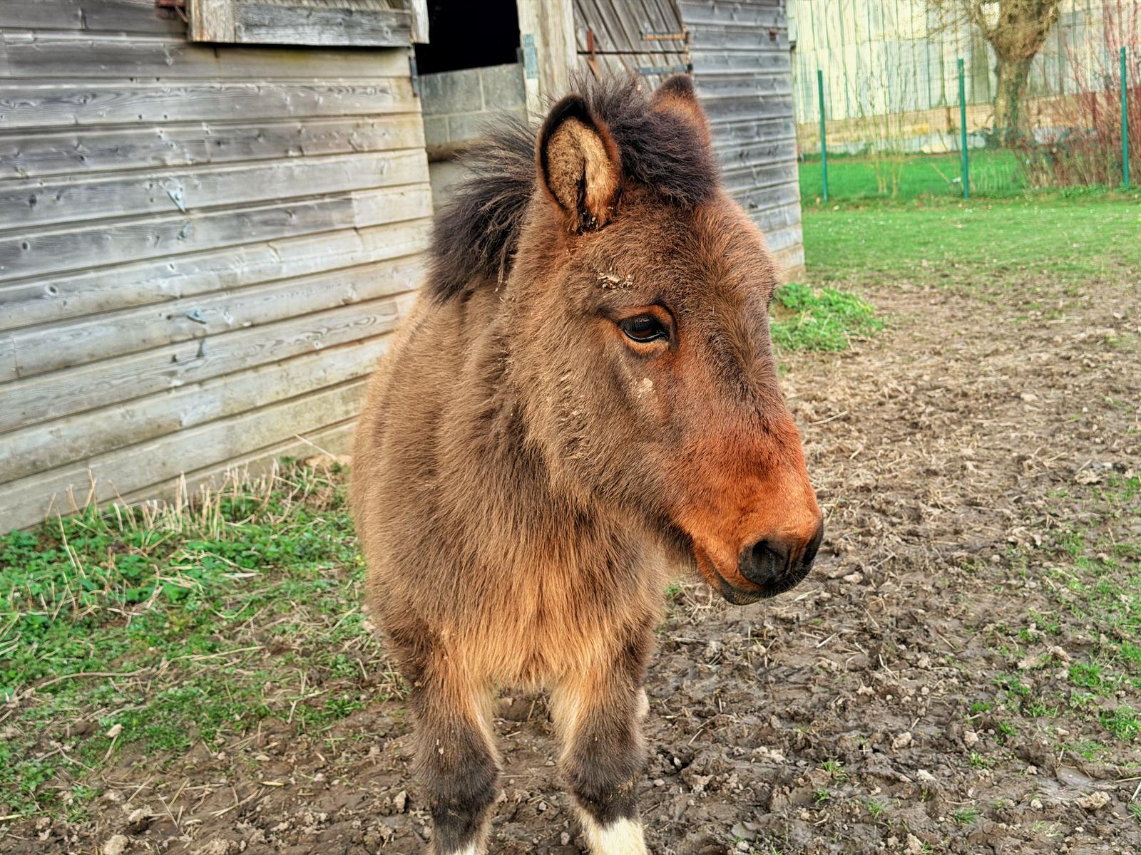 Dôme Insolite * Jacuzzi * Cocooning * Vidéoprojecteur – photo 13 sur 26
