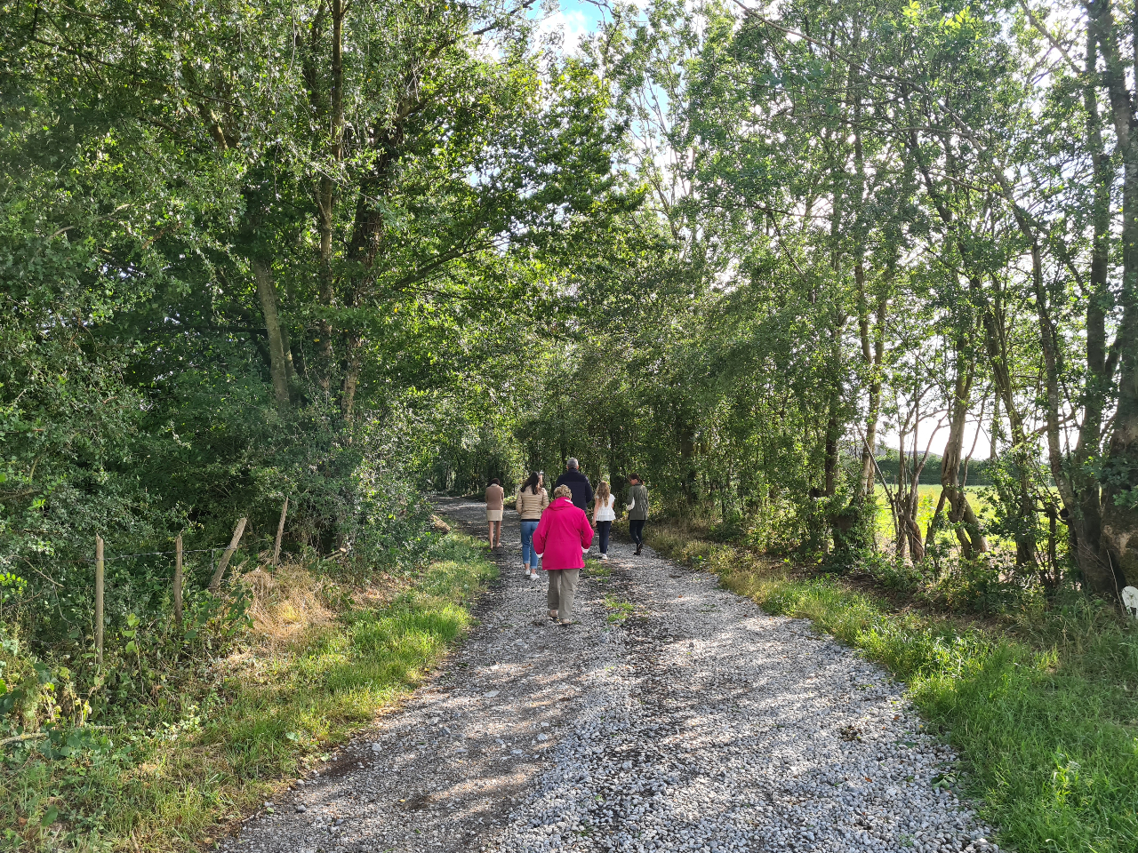 Dôme Insolite * Jacuzzi * Cocooning * Vidéoprojecteur – photo 18 sur 26