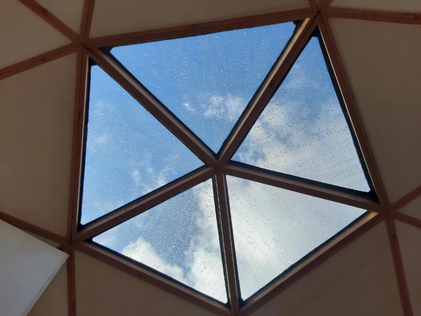 Dôme La vue étoilée - dôme avec jacuzzi en Haute-Marne (Poinson-lès-Fays) - photo 9 sur 10