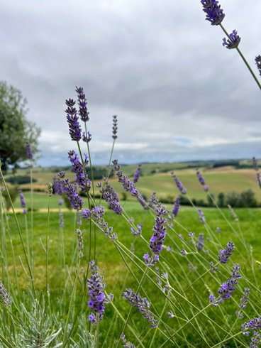 Dôme Lauragais : Dôme en Midi-Pyrénées (Occitanie) – photo 16 sur 24