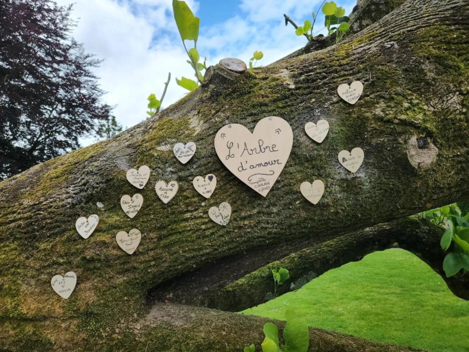 Le cocon d'amour - dôme avec jacuzzi privé dans la Manche (La Chapelle-du-Fest) - photo 22 sur 22
