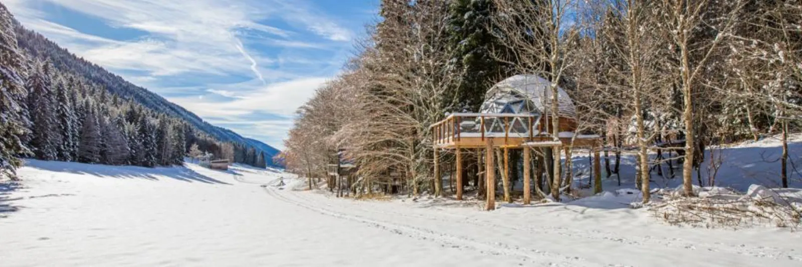 Dôme panoramique du Vercors - chalet dôme avec vue à Autrans (Isère) - photo 24 sur 45