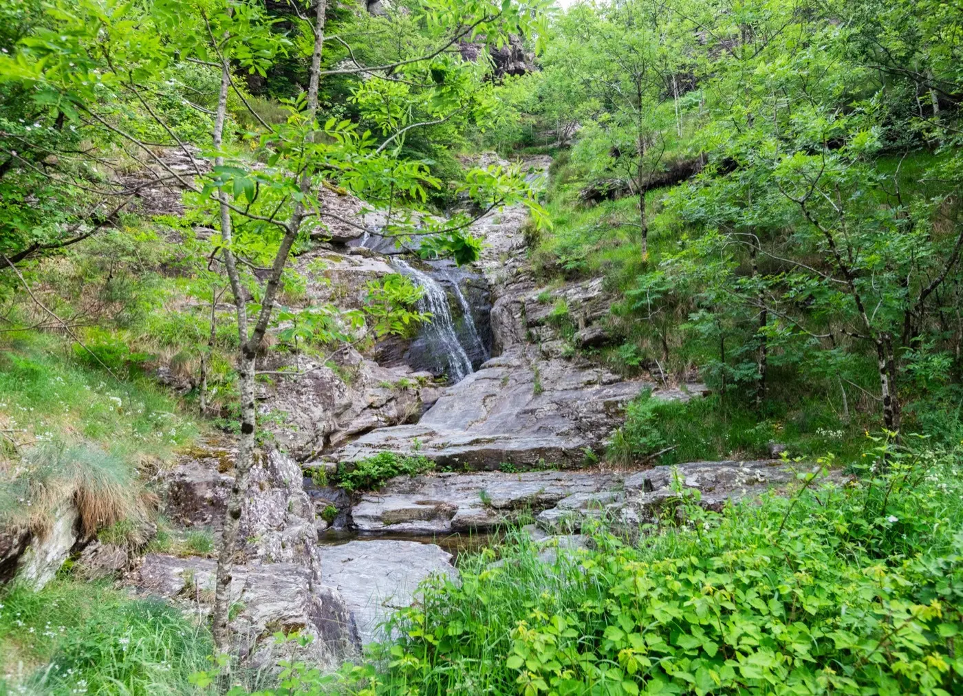 Dôme sous les étoiles - Dôme transparent dans les Cévennes (Vialas, Lozère) - photo 8 sur 33
