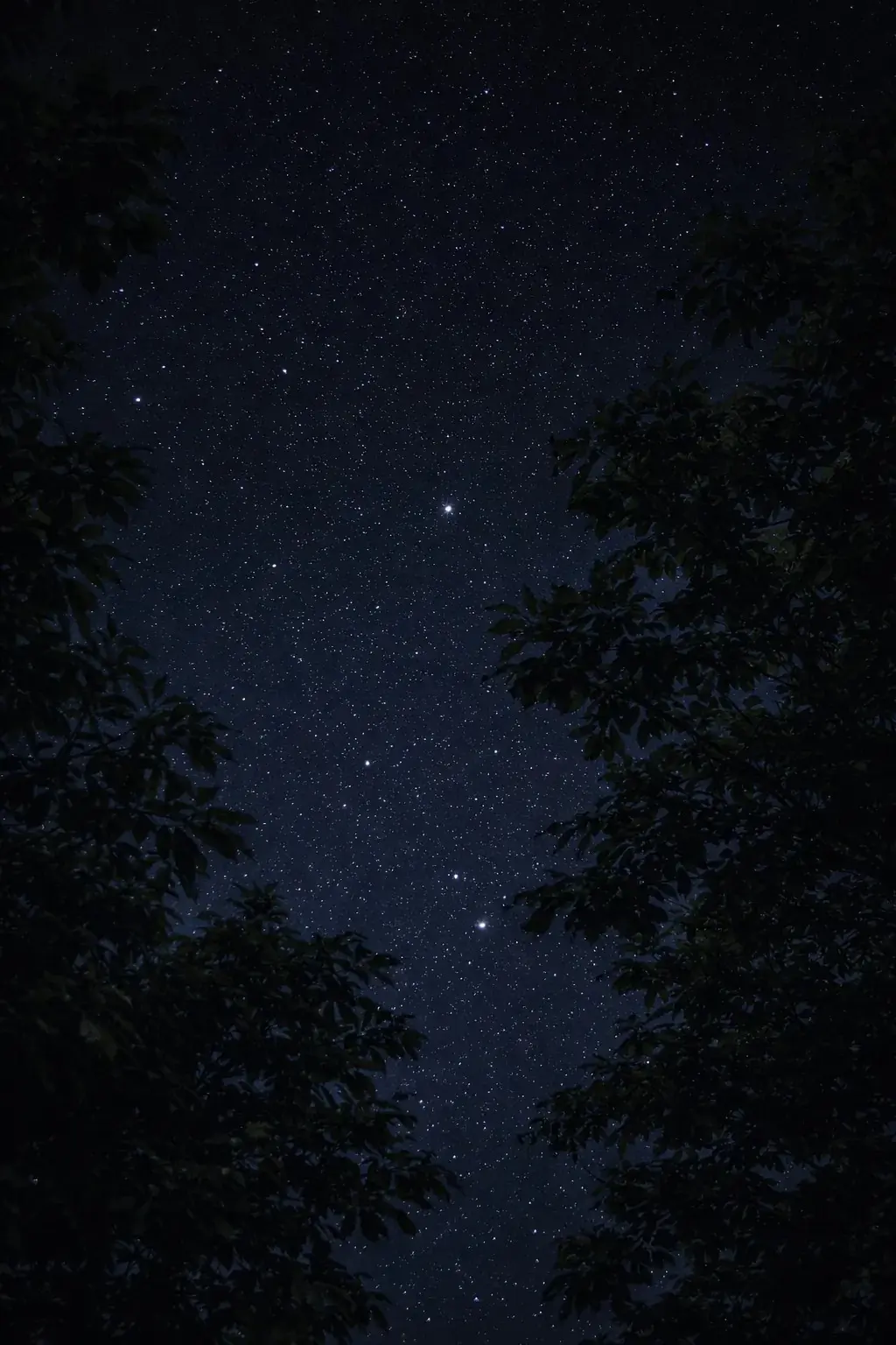 Dôme sous les étoiles - Dôme transparent dans les Cévennes (Vialas, Lozère) - photo 9 sur 33