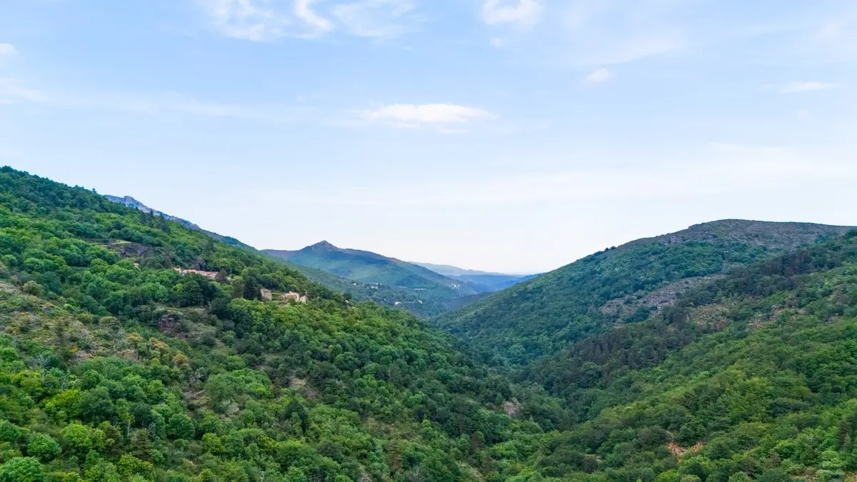 Dôme sous les étoiles - Dôme transparent dans les Cévennes (Vialas, Lozère) - photo 11 sur 33