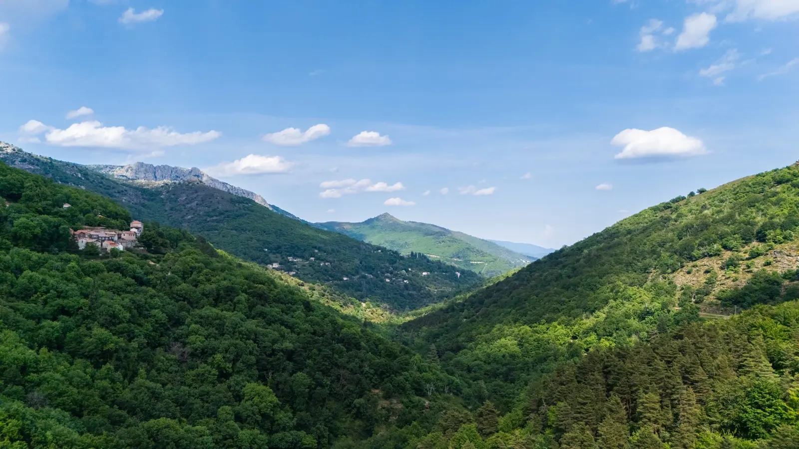 Dôme sous les étoiles - Dôme transparent dans les Cévennes (Vialas, Lozère) - photo 14 sur 33