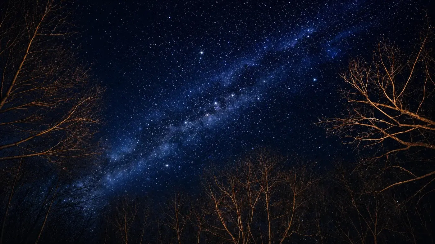Dôme sous les étoiles - Dôme transparent dans les Cévennes (Vialas, Lozère) - photo 18 sur 33