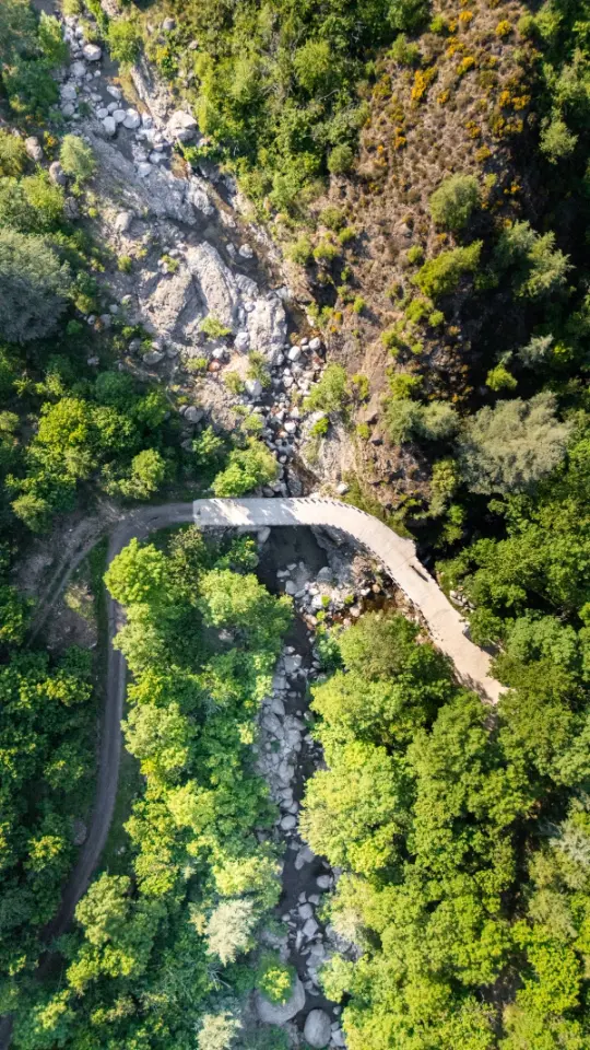 Dôme sous les étoiles - Dôme transparent dans les Cévennes (Vialas, Lozère) - photo 24 sur 33