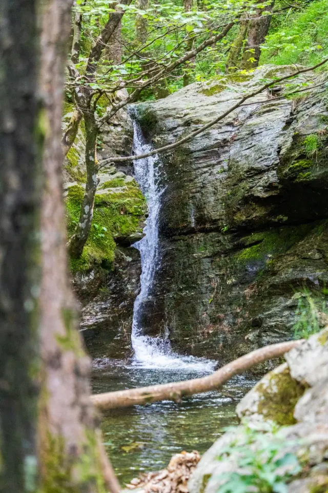 Dôme sous les étoiles - Dôme transparent dans les Cévennes (Vialas, Lozère) - photo 26 sur 33