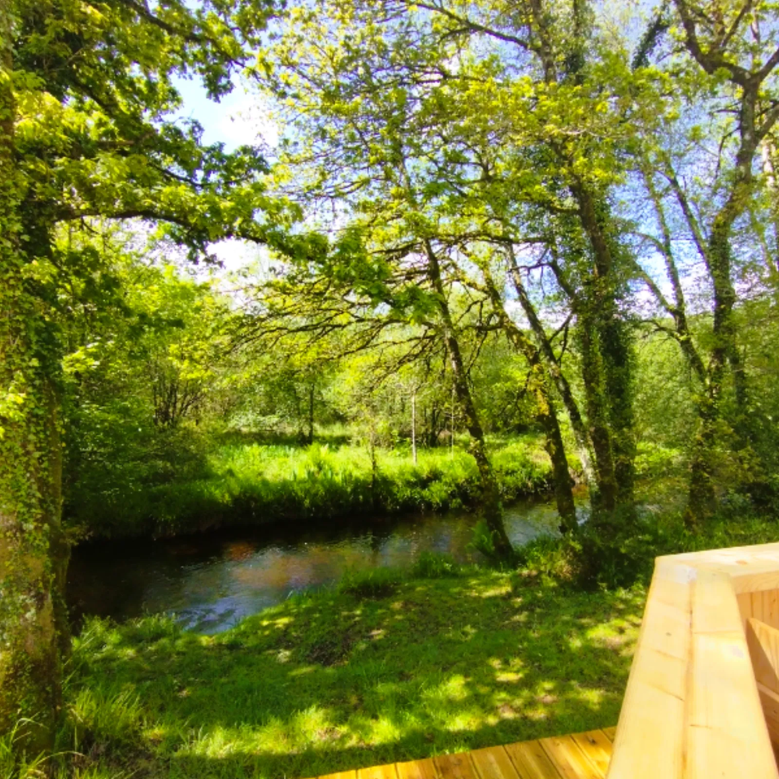 Dôme vue Rivière & spa - photo 13 sur 13