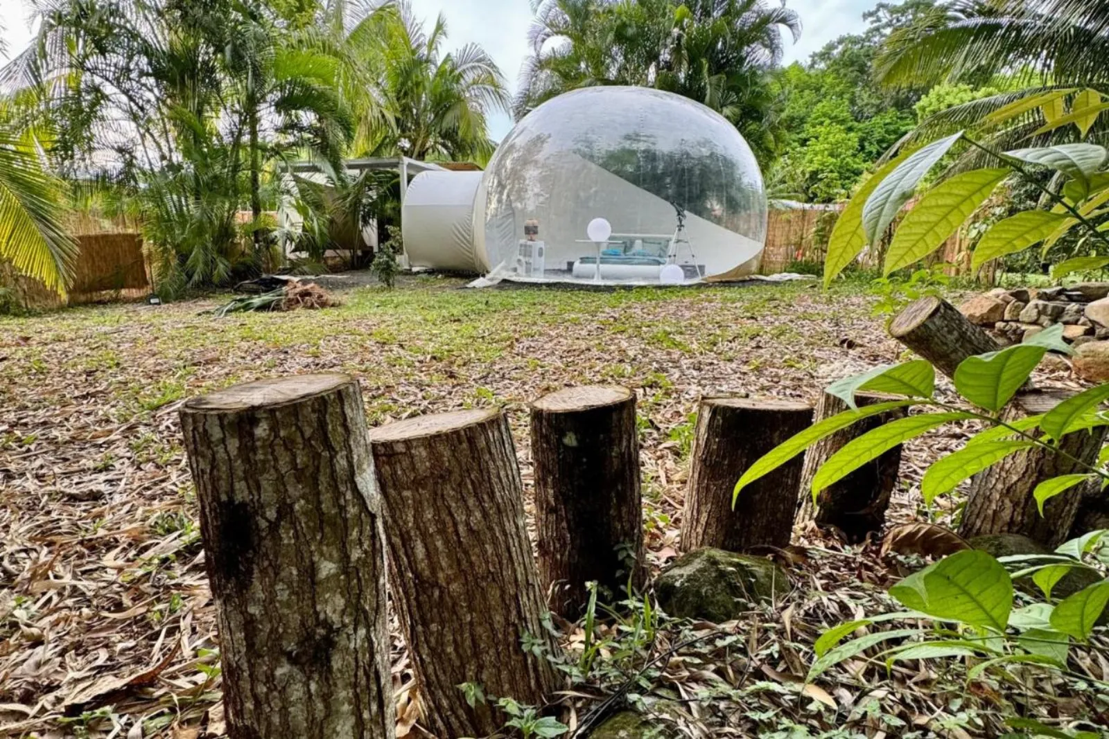 bulle insolite Martinique - photo 5