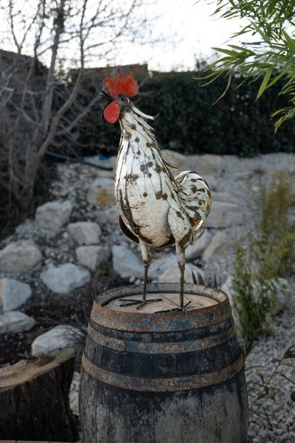 La bulle du coq & Spa : Dôme en Rhône-Alpes (Auvergne-Rhône-Alpes) – photo 11 sur 39