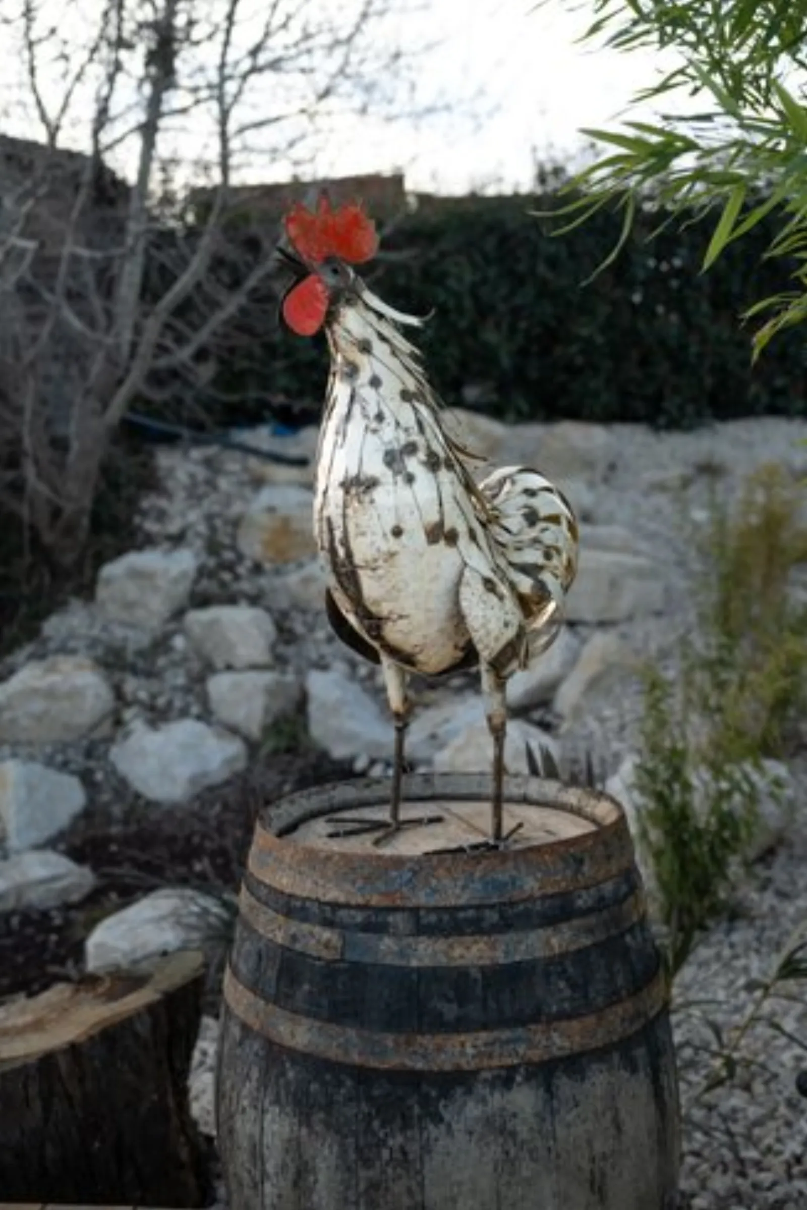 La bulle du coq & Spa : Dôme en Rhône-Alpes (Auvergne-Rhône-Alpes) - photo 11 sur 39