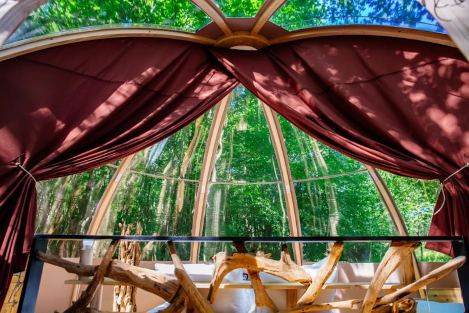 Bulle Ecôtelia : Dôme en Aquitaine (Nouvelle Aquitaine) - cadre naturel Gironde