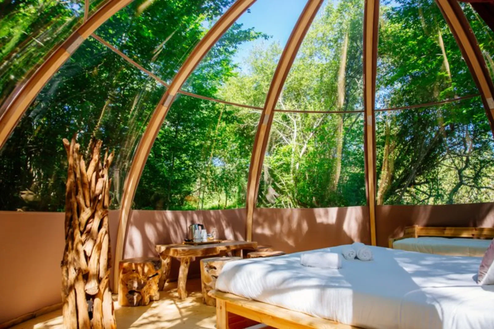 Bulle Ecôtelia : Dôme en Aquitaine (Nouvelle Aquitaine) - photo 6 sur 18
