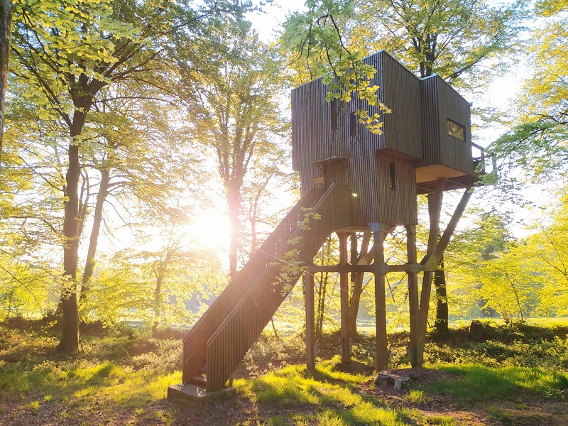 Étape en Forêt, locations insolites et loisirs nature sur un domaine de 10ha - Normandie, Calvados – cadre naturel Calvados
