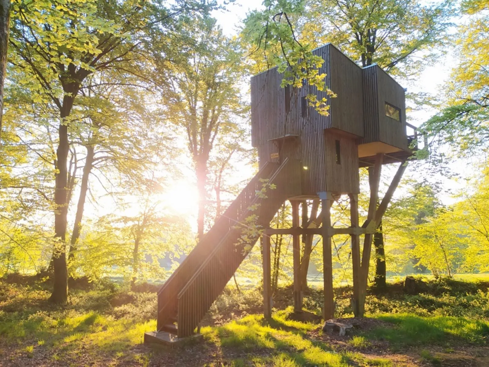 Étape en Forêt, locations insolites et loisirs nature sur un domaine de 10ha - Normandie, Calvados - cadre naturel Calvados