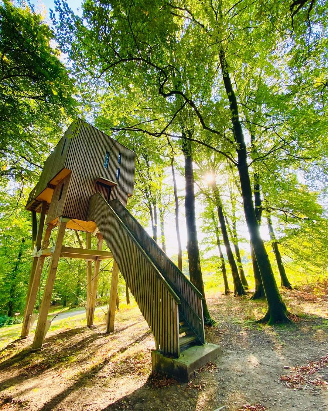 Étape en Forêt, locations insolites et loisirs nature sur un domaine de 10ha - Normandie, Calvados – photo 6 sur 22