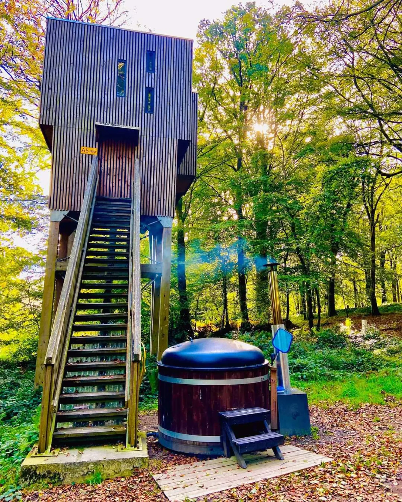 Étape en Forêt, locations insolites et loisirs nature sur un domaine de 10ha - Normandie, Calvados - photo 7 sur 22
