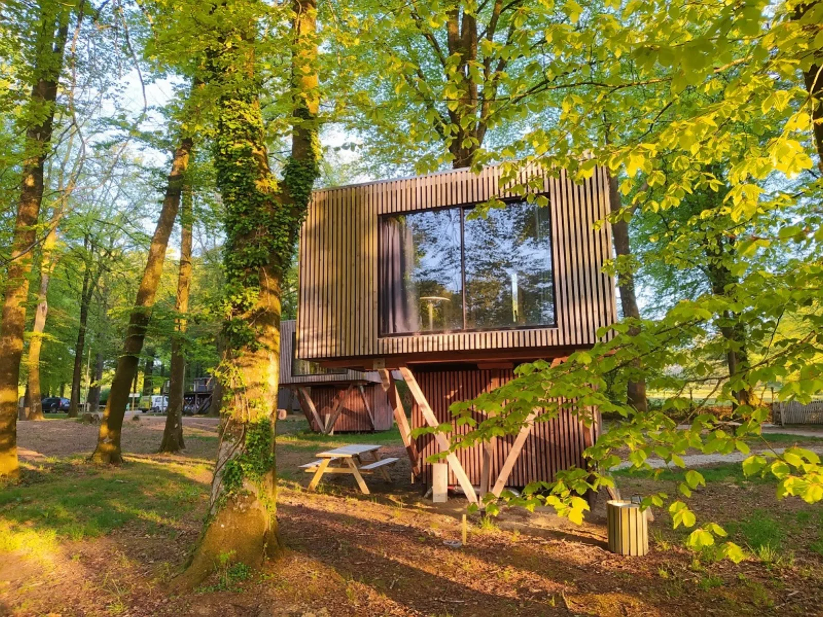 Étape en Forêt, locations insolites et loisirs nature sur un domaine de 10ha - Normandie, Calvados - photo 8 sur 22