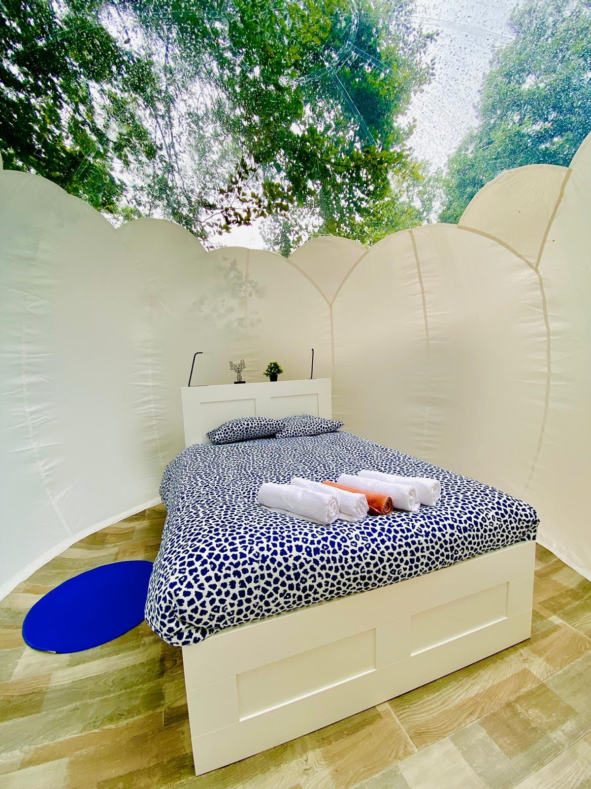 Étape en Forêt, locations insolites et loisirs nature sur un domaine de 10ha - Normandie, Calvados – photo 11 sur 22