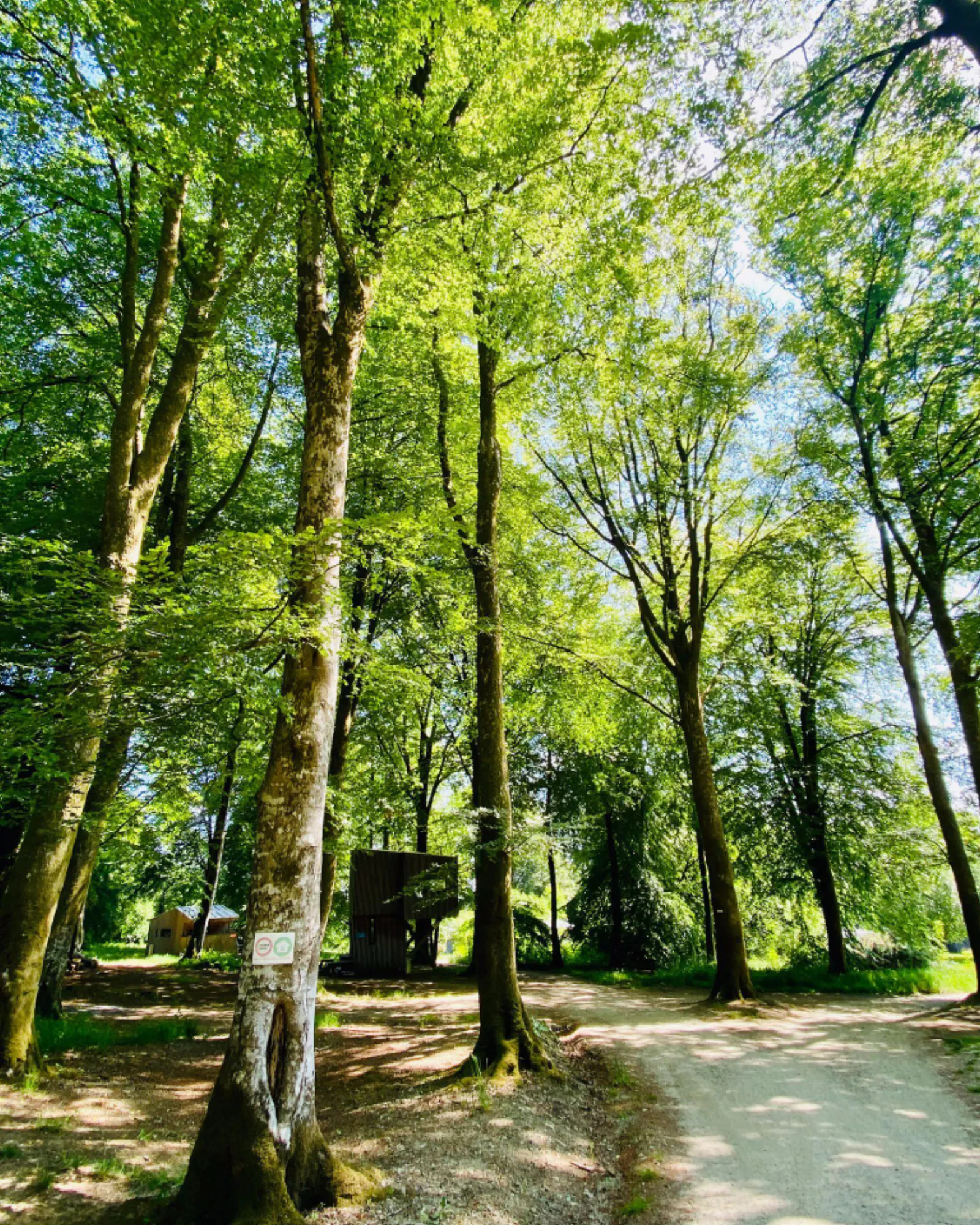 Étape en Forêt, locations insolites et loisirs nature sur un domaine de 10ha - Normandie, Calvados - photo 16 sur 22