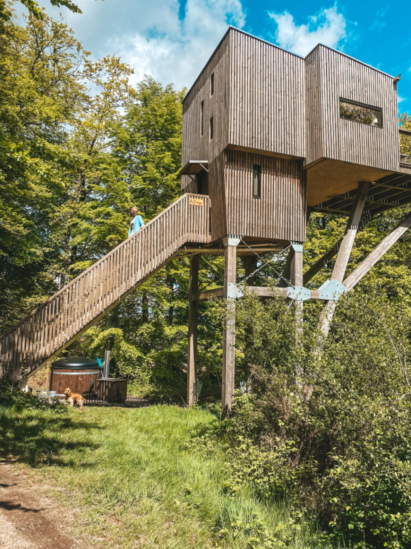 Étape en Forêt, locations insolites et loisirs nature sur un domaine de 10ha - Normandie, Calvados - photo 19 sur 22
