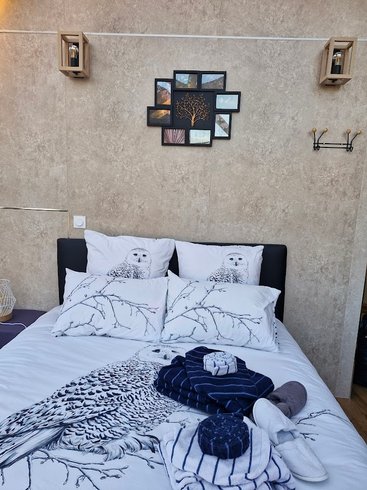 dôme insolite Cantal – photo 5