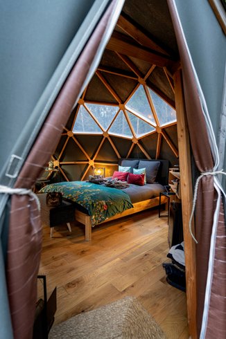 Dôme au milieu des Alpagas : Dôme en Lorraine (Grand Est) – photo 7 sur 45