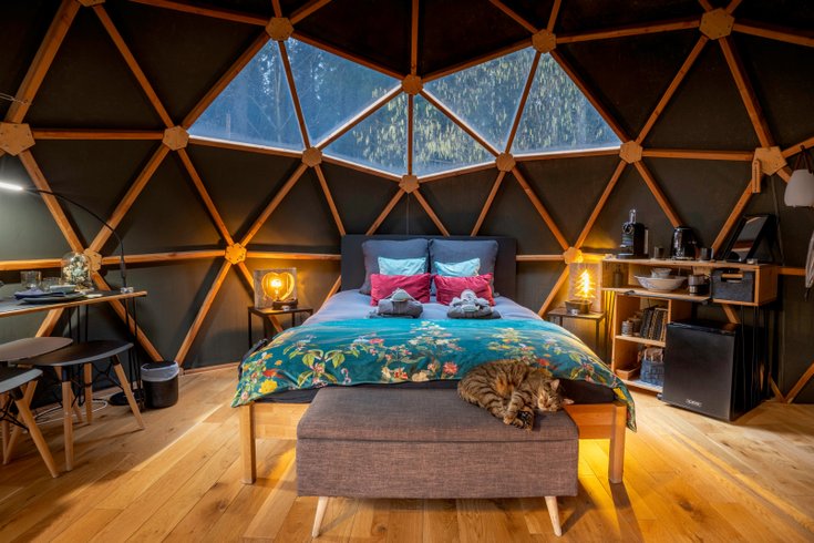 Dôme au milieu des Alpagas : Dôme en Lorraine (Grand Est) – photo 13 sur 45